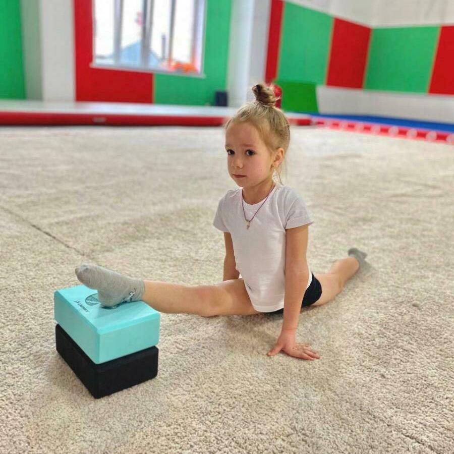 Секция художественной гимнастики "Всероссийская сеть детских спортивных школ" FD (Бабушкинская)