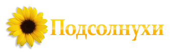 Подсолнухи