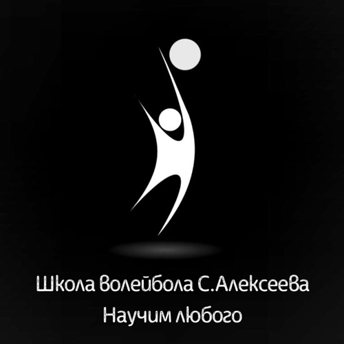 Школа волейбола Станислава Алексеева