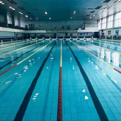 Клуб подводного спорта Speed Swimmer