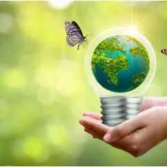Кружок по географии в проекте Sciencely (Онлайн)