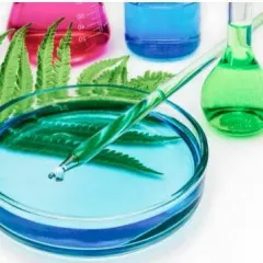 Кружок по биологии в проекте Sciencely Умная Москва (ВДНХ)