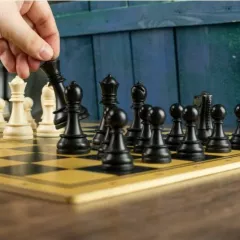 Шахматы в центре "Совенок" (ЮВАО)