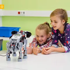 Курс Lego Простые механизмы в центре Шаробот (Подольск-2)