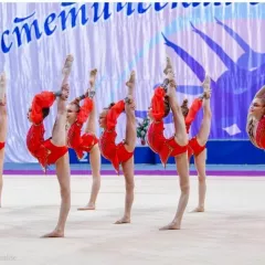 Эстетическая гимнастика в Академии Чемпионов (Строгино)