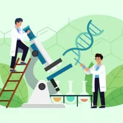 Подготовка к ЕГЭ 2025 Биология Коалиция (Онлайн)