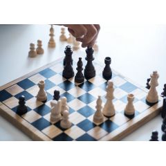 Шахматы в Хорошколе (Народное Ополчение)