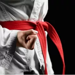 Самбо и Дзюдо в школе Займемся спортом Спартак