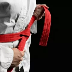 Самбо и Дзюдо в школе Займемся спортом Тимирязевская