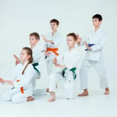 Дзюдо и Самбо в Школе чемпионов Юго-Восточная