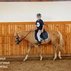 Занятия в Пони Клубе для детей с 3 до 12 лет в КСК «Звёздный» Шевёлкино