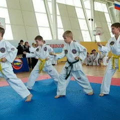 Тхэквондо для детей с 13 лет Центр спортивной подготовки "Беркут" (ВДНХ)