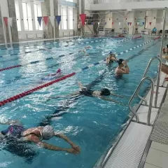 Клуб водных видов спорта «Элемент» (ФОК «Университетский»)