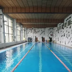 Школа спортивного развития Чайка (бассейн «АртФок»)