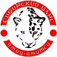 Функциональные тренировки в клубе «Сибирский барс» (Апрелевка)