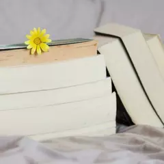 Подготовка к олимпиадам по физике в школе Летово (Онлайн)