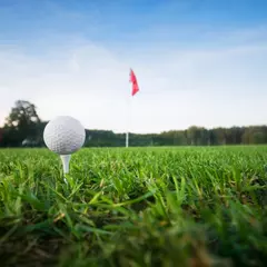 Гольф в отеле "Moscow Country Club"