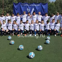 Детский футбольный клуб Викинг (Теплый Стан)
