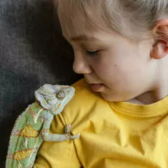 Биолаборатория Чуланчик (Павелецкая)