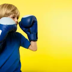 Бокс Снегирь Арена д. Марушкино