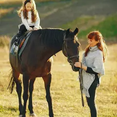 Конный спорт КСК Звёздный (Шевёлкино)