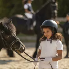 Конный спорт КСК «Звёздный» (Шевёлкино)