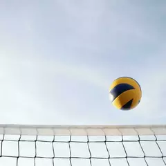 Волейбол Невские медведи (Семеновская)