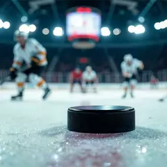 Хоккей Центр Хоккейного Мастерства "Ледовый дворец" (Сходненская)