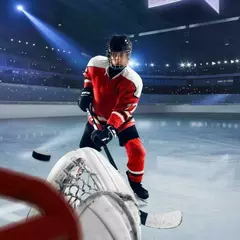 Хоккей Российский клуб хоккея (Мичуринский проспект)