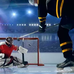 Хоккей Hockey Chance (Ховрино)