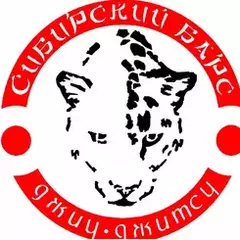 ОФП Сибирский барс (Апрелевка)