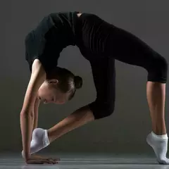 Спортивная гимнастика Европейский Гимнастический Центр (Балашиха)