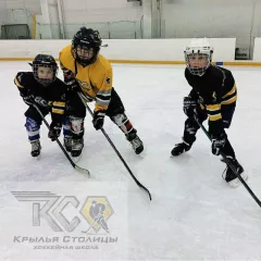 Хоккей в школе "Крылья столицы" (Динамо)