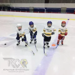 Хоккей в школе "Крылья столицы" (Савеловская)