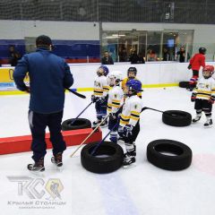 Хоккей в школе "Крылья столицы" (Новопеределкино)