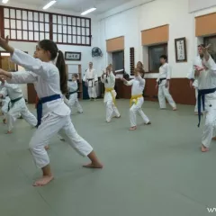 Айкидо в школе "Ёсинкан Айкидо Ryu Yu Kan Dojo" (Домодедовская)