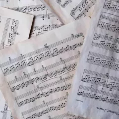 Сольфеджио в школе музыки ДиеЗ (Химки)