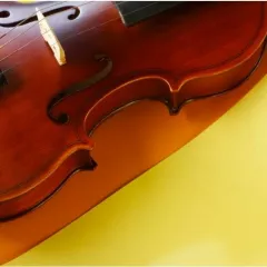 Скрипка в музыкальной школе Виртуозы (Онлайн)