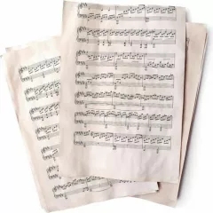 Сольфеджио в школе музыки Lira (Люберцы - Кирова)