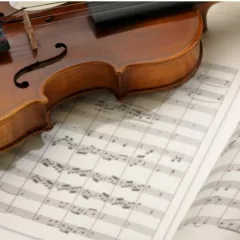 Скрипка в школе First music family (Чистые пруды)
