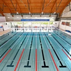 Школа Плавания "Swim Dream"