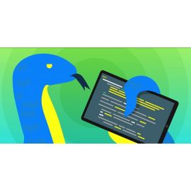 Курс программирования Python в школе Кидкод (Онлайн)