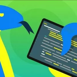 Курс программирования Python в школе Кидкод (Онлайн)