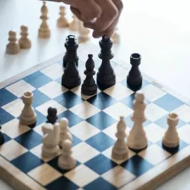 Шахматы в Хорошколе Народное Ополчение
