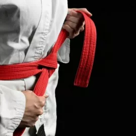 Самбо и Дзюдо в школе Займемся спортом Тимирязевская