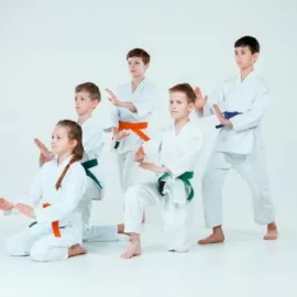 Дзюдо и Самбо в Школе чемпионов Юго-Восточная