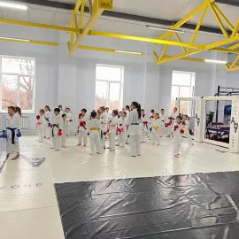 Карате СК Сингитай (Беговая)