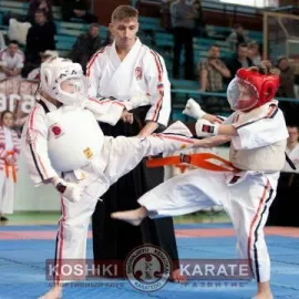 Косики карате Клуб Развитие Шипиловская