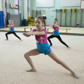 Постановка индивидуальных программ по художественной гимнастике PIROUETTE (Домодедовская)