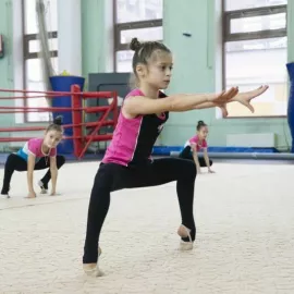 Постановка индивидуальных программ по художественной гимнастике PIROUETTE (Шелепиха)